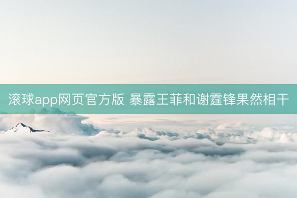 滚球app网页官方版 暴露王菲和谢霆锋果然相干