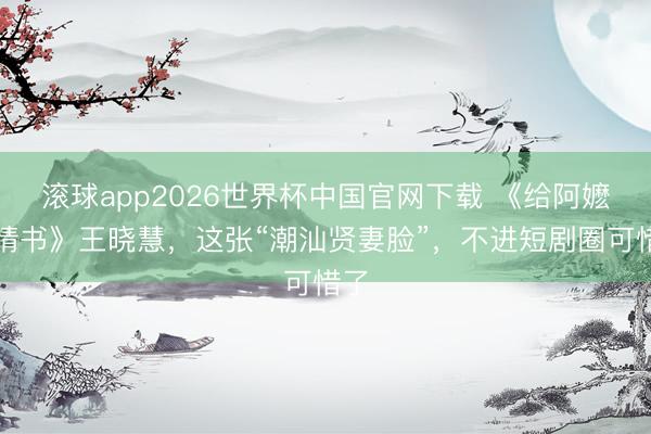 滚球app2026世界杯中国官网下载 《给阿嬷的情书》王晓慧，这张“潮汕贤妻脸”，不进短剧圈可惜了