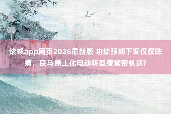 滚球app网页2026最新版 功绩预期下调仅仅阵痛，良马原土化电动转型藏繁密机遇?