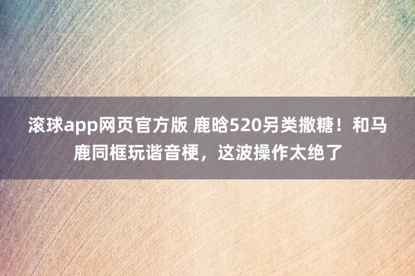 滚球app网页官方版 鹿晗520另类撒糖!和马鹿同框玩谐音梗,这波操作太绝了